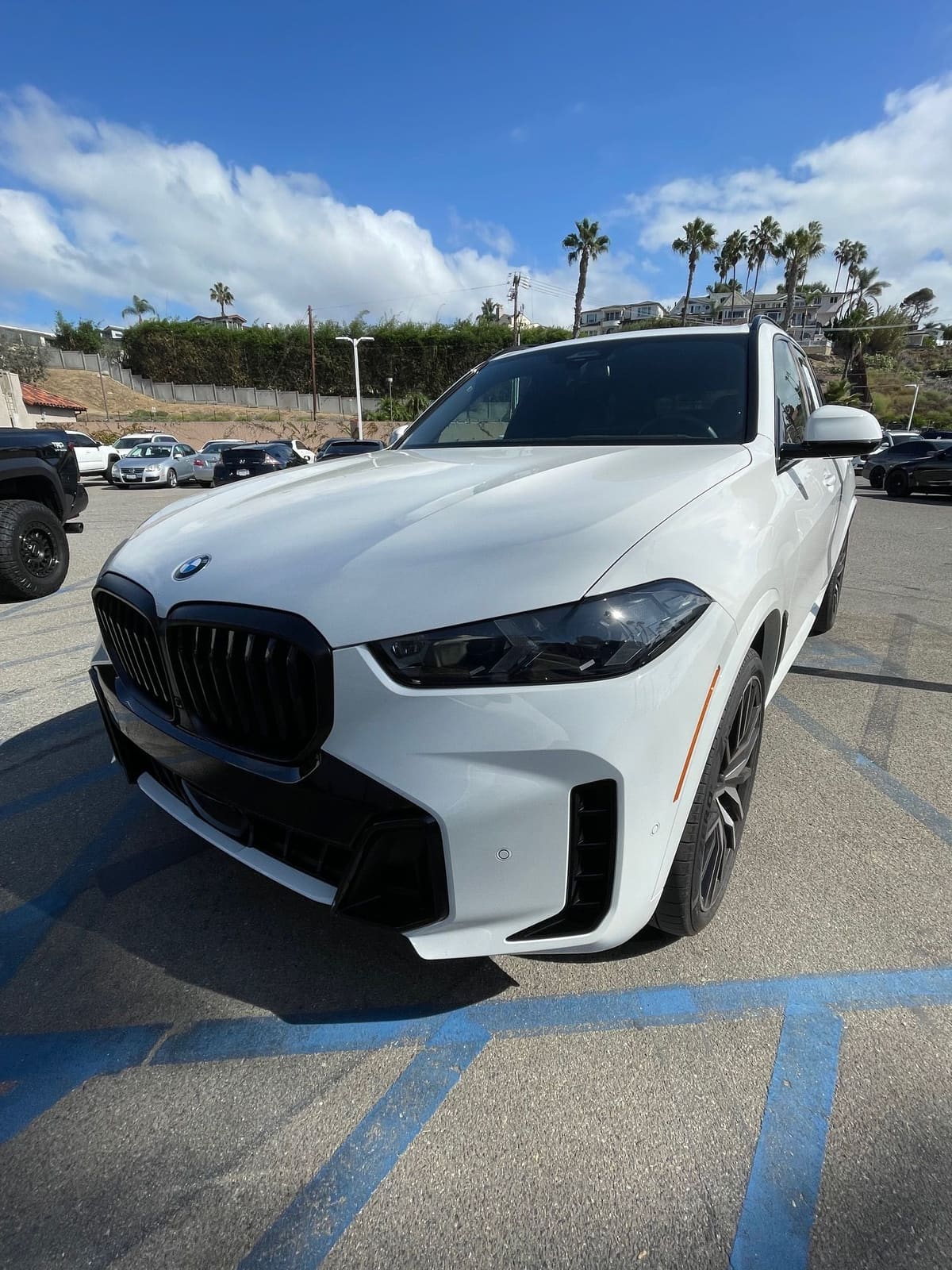 White BMW X5 SUV on a dealer lot with palm trees and hillside homes behind it